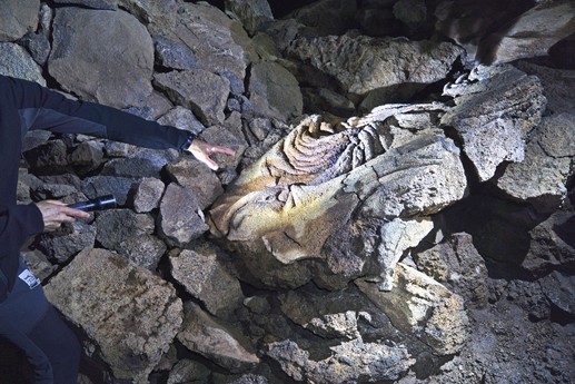 25 marzo La Cueva del Viento
